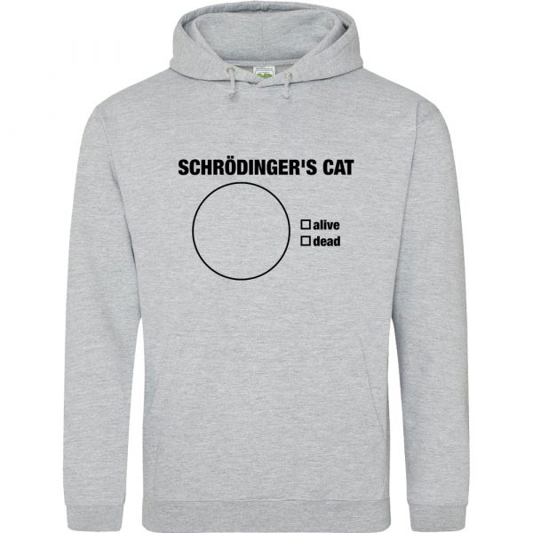 schrodinger's cat heather grey hoodie
