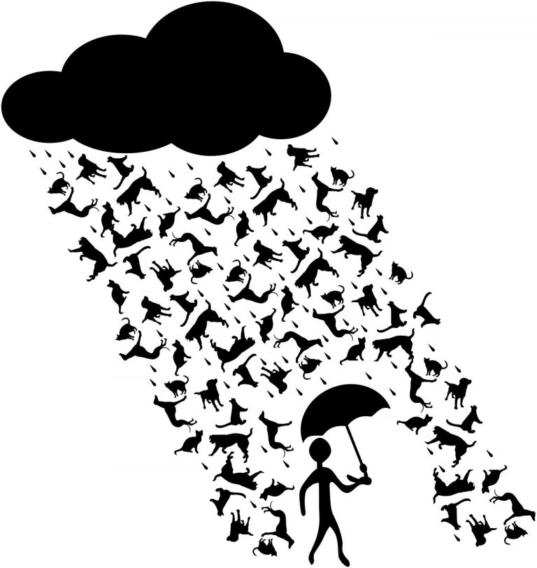 vector image of raining cats and dogs