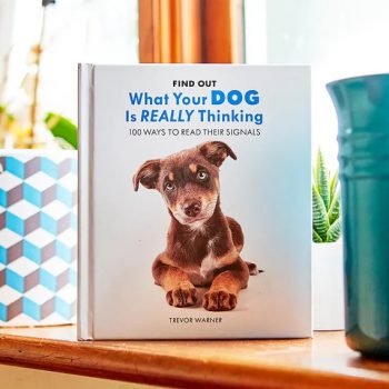 What is your dog really thinking book